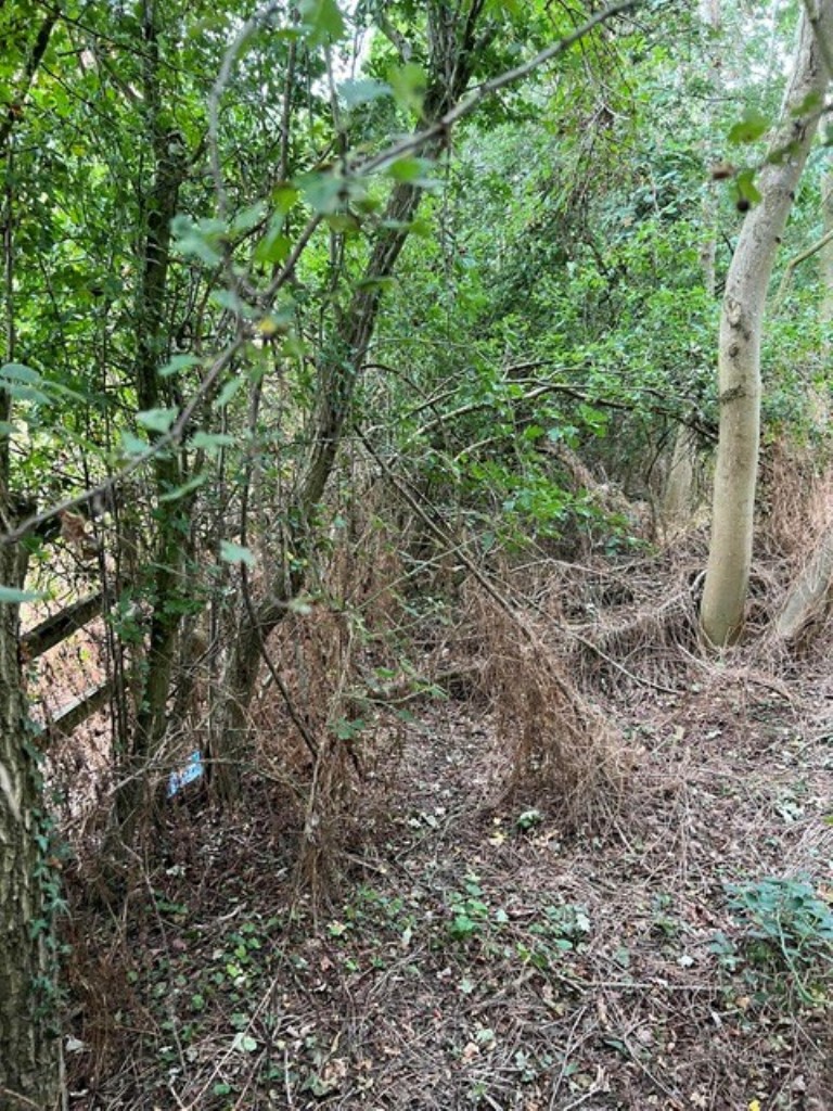 Lot: 35 - STRIP OF FREEHOLD LAND - Showing an area of the thin parcel of land in a residential area